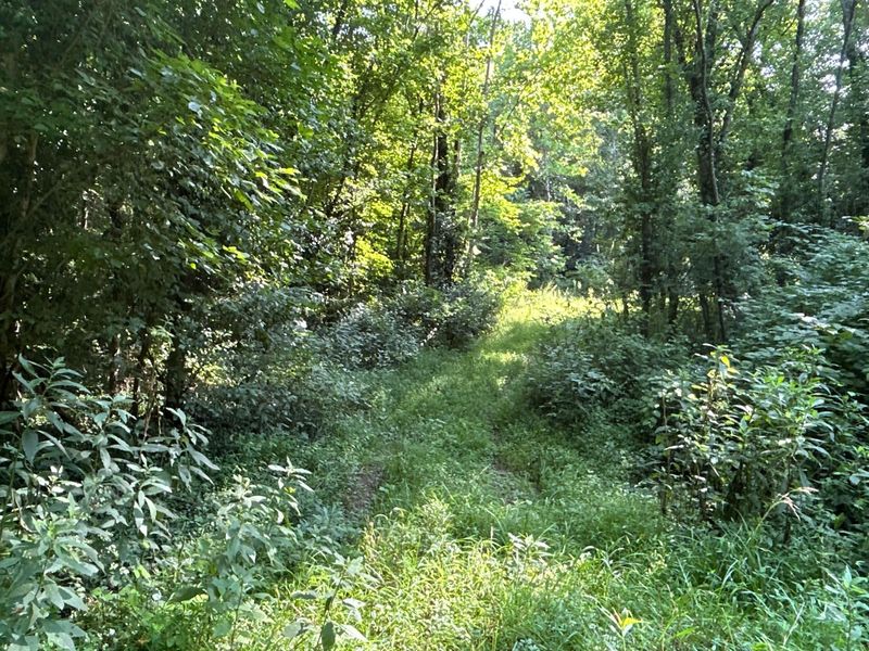 0 Belvdere Lane , Unit 45631, Gallipolis, OH 45631 Photo 3