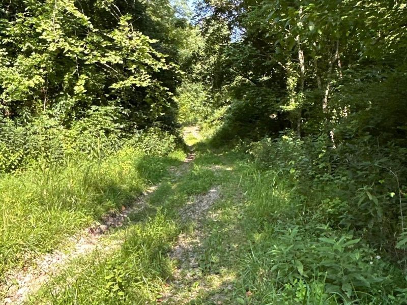 0 Belvdere Lane , Unit 45631, Gallipolis, OH 45631 Photo 4
