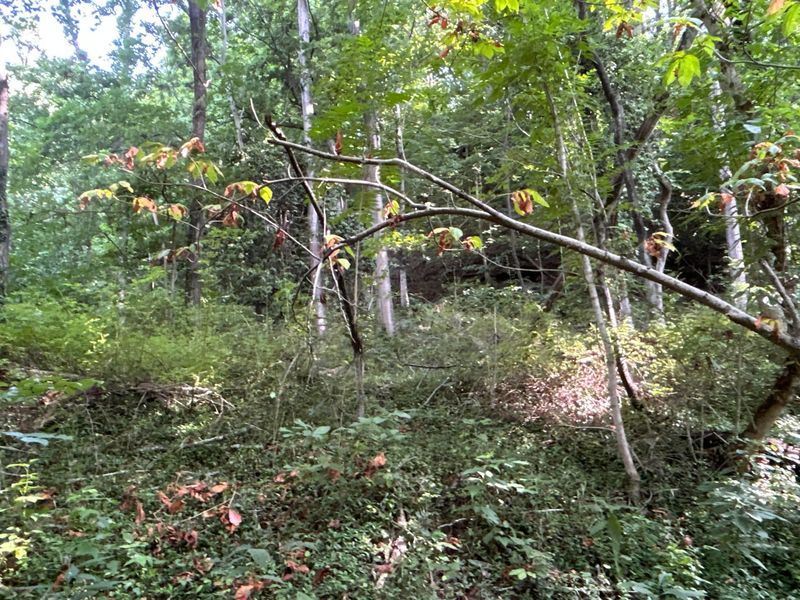 0 Belvdere Lane , Unit 45631, Gallipolis, OH 45631 Photo 7