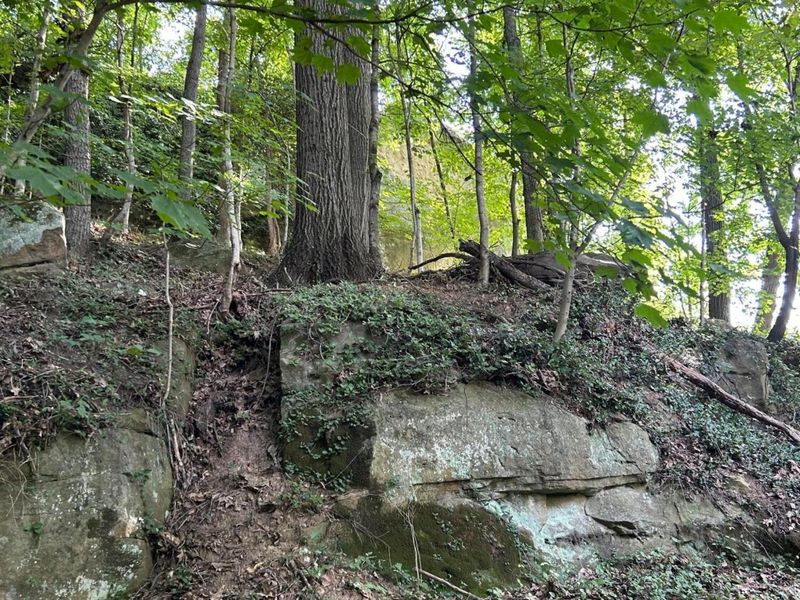 0 Belvdere Lane , Unit 45631, Gallipolis, OH 45631 Photo 9