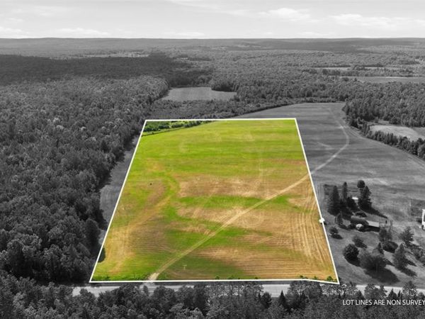 10 acres State Hwy 40, Bruce, WI 54819