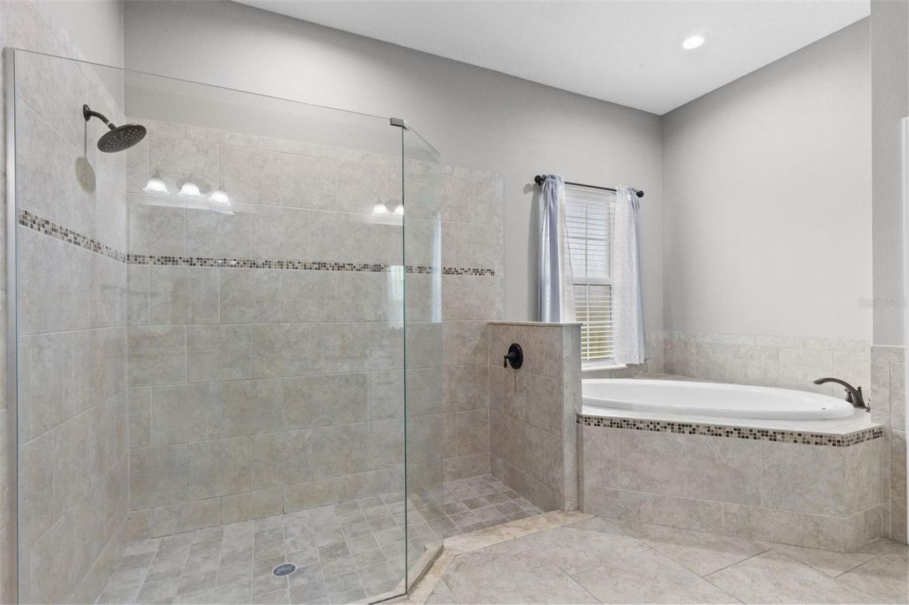 27816 Cobalt Lane , Wesley Chapel, FL 33544 Photo