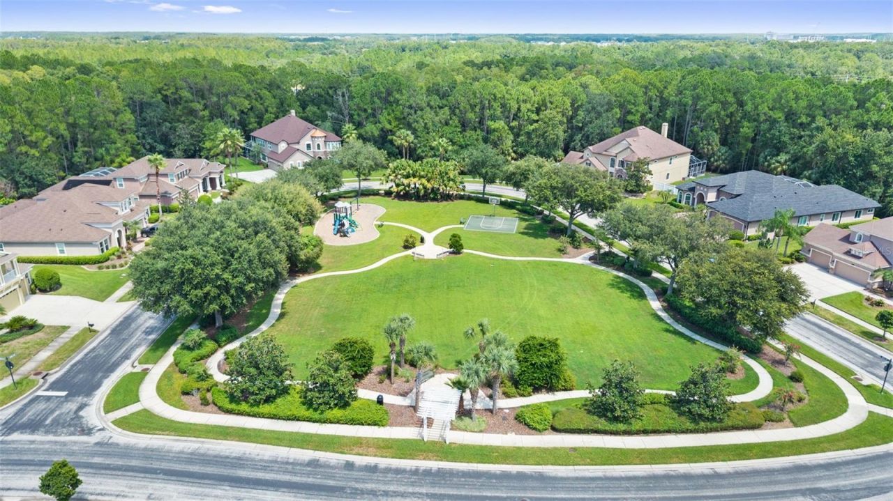 27816 Cobalt Lane , Wesley Chapel, FL 33544 Photo