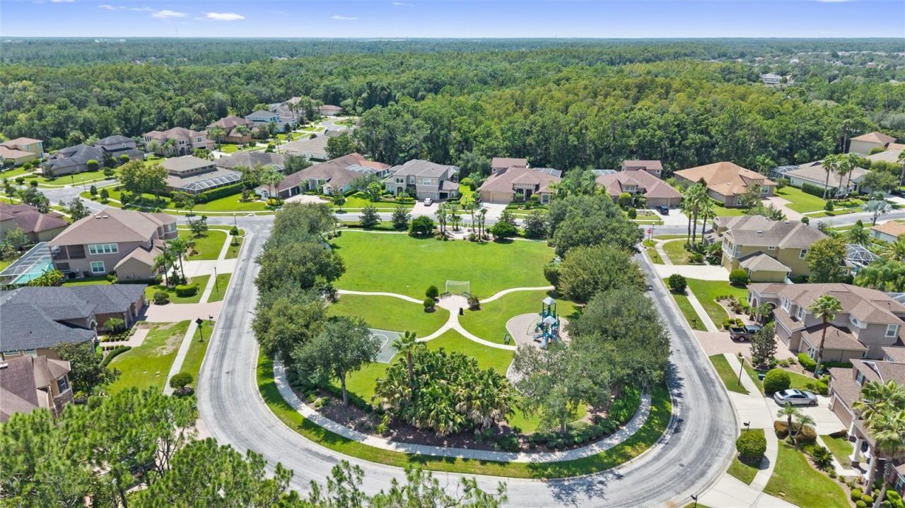 27816 Cobalt Lane , Wesley Chapel, FL 33544 Photo