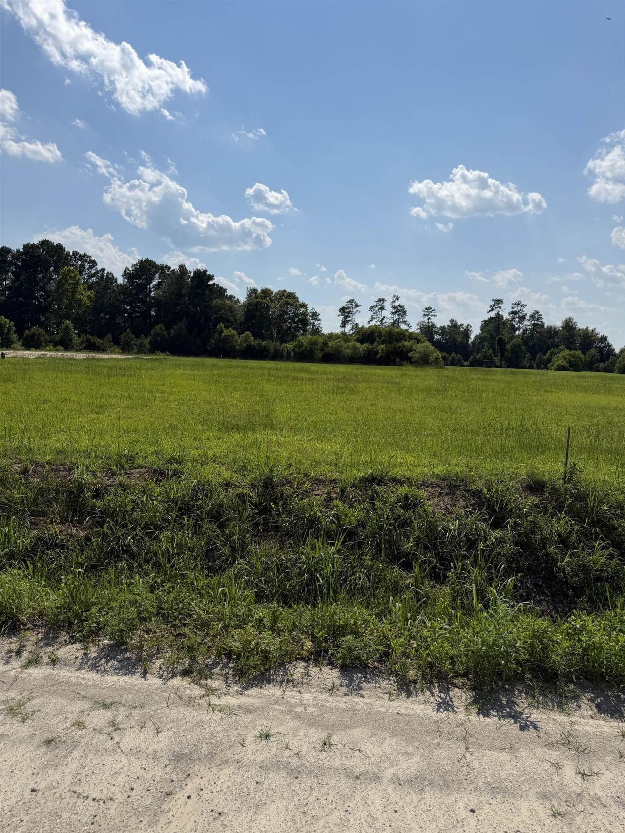 Tbd Strickland Rd. Photo 5