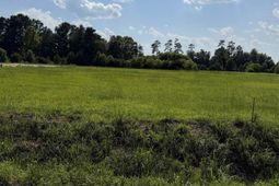 Tbd Strickland Rd. photo 4