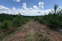 Btf 4 Bradley Trail photo 4