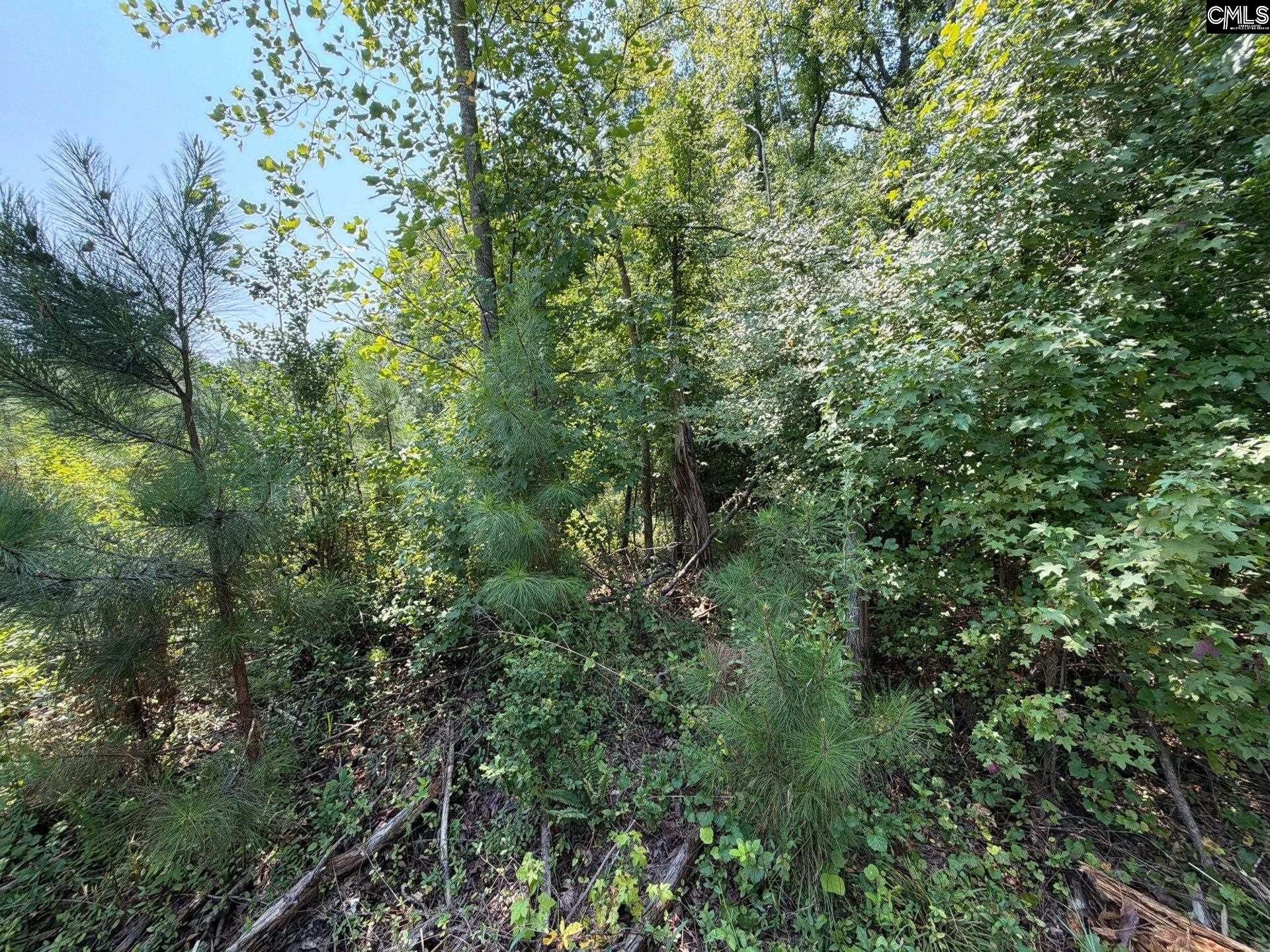 Btf 4 Bradley Trail Photo 7
