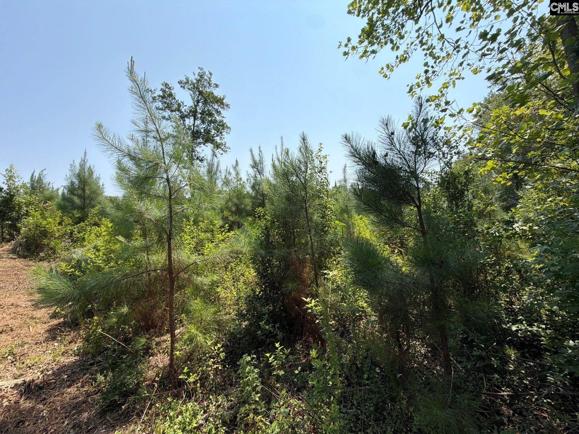 Btf 4 Bradley Trail Photo 8
