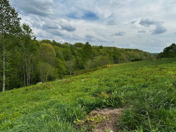 188 Martin Ln , Normandy, TN 37360