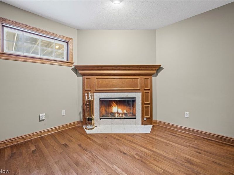 441 Shannon Drive, Wadsworth, OH 44281 Photo 19