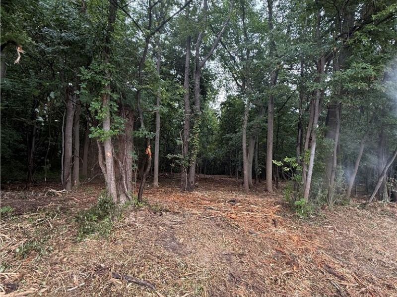 Greensburg Road, North Canton, OH 44720 Photo 6