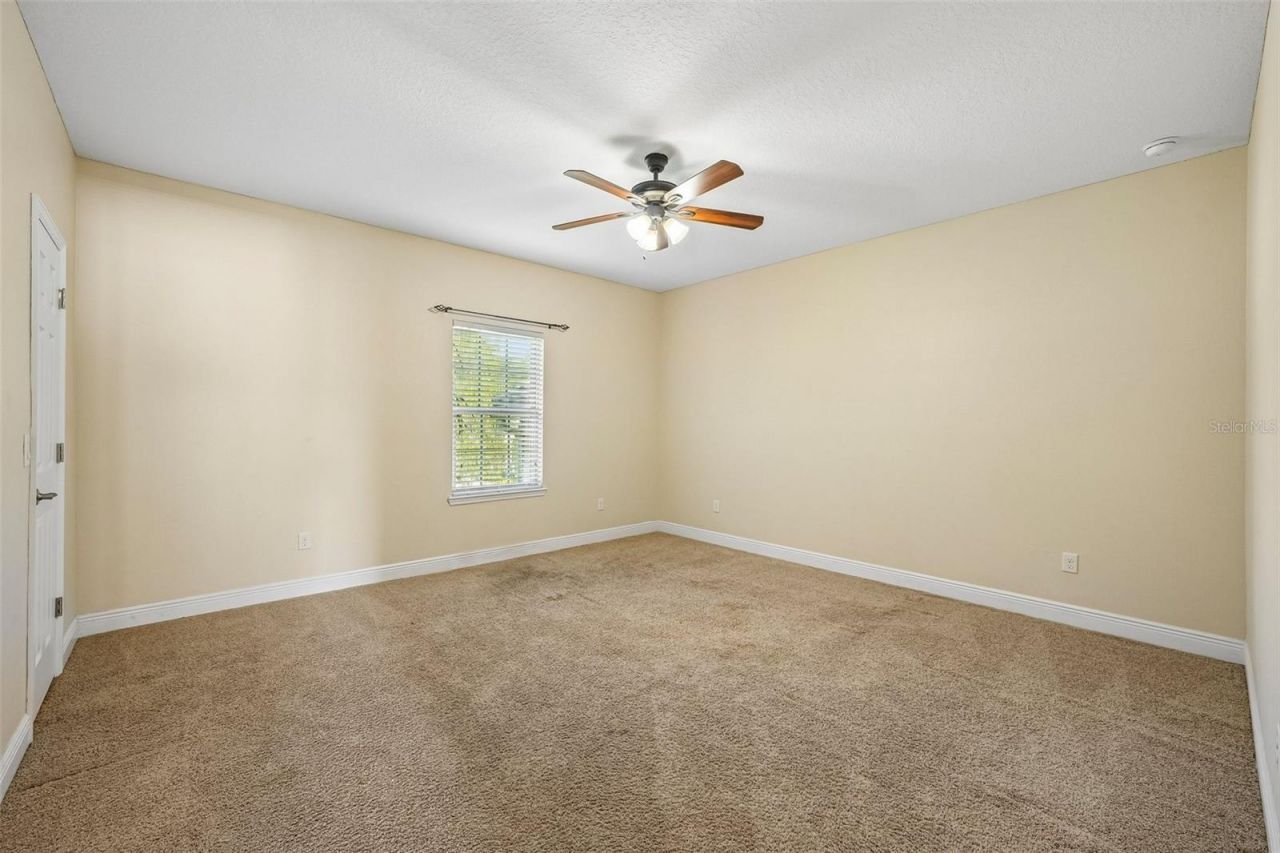 19711 Wellington Manor Boulevard, Lutz, FL 33549 Photo