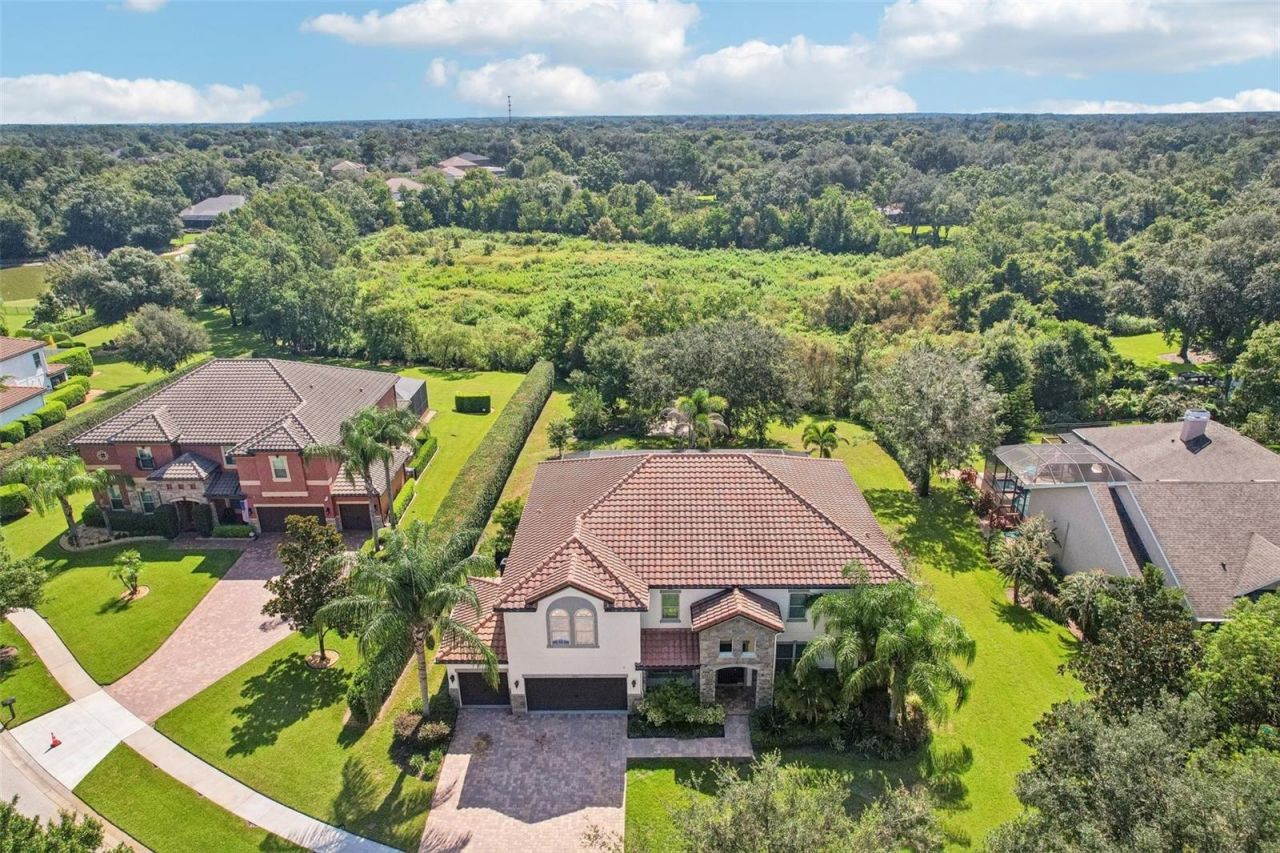 19711 Wellington Manor Boulevard, Lutz, FL 33549 Photo
