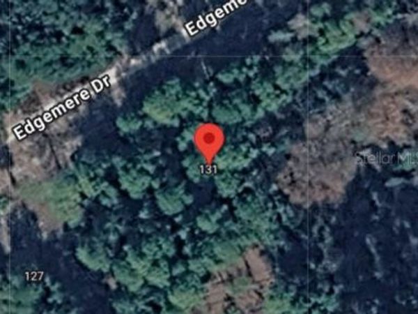 131 EDGEMERE DRIVE , GEORGETOWN, FL 32139