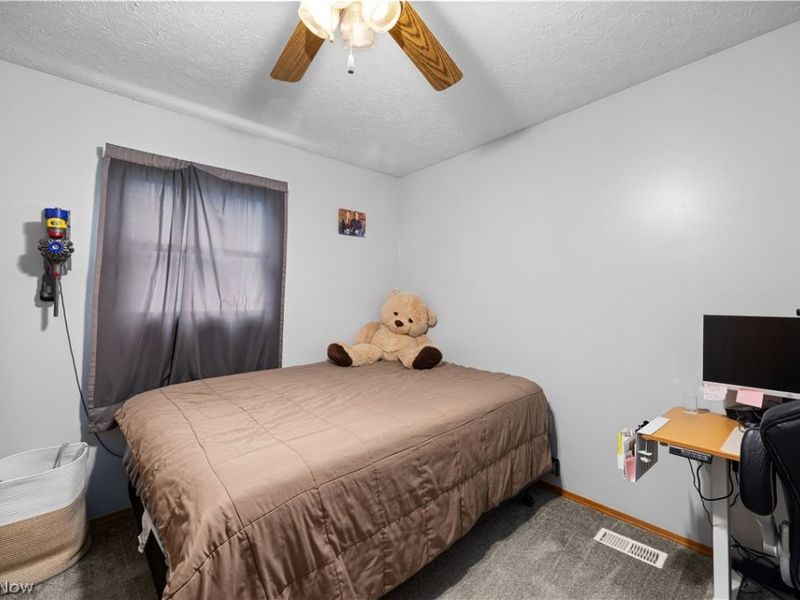 876 Moss Canyon Drive, Amherst, OH 44001 Photo 13