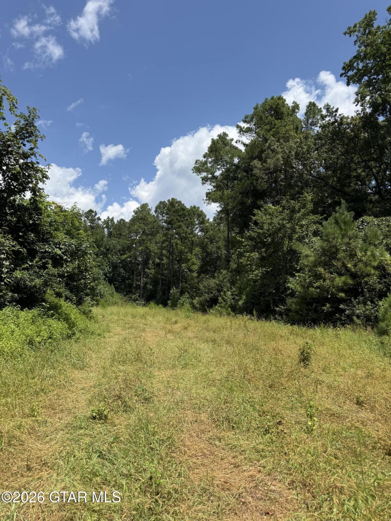 Mcknight Road, Ackerman, MS 39735 Main Photo
