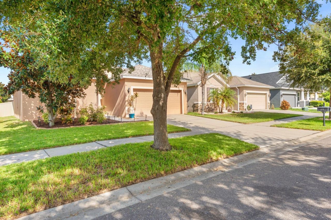 12009 Rambling Stream , Riverview, FL 33569 Photo