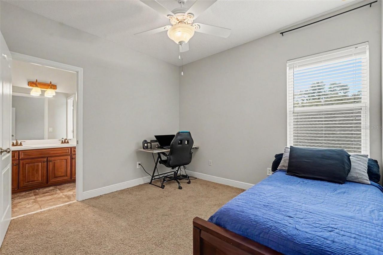 2605 Red Fern Drive, Dover, FL 33527 Photo