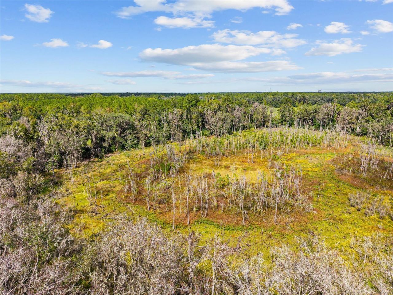 8543 NW 71 Terrace , Gainesville, FL 32653 Photo