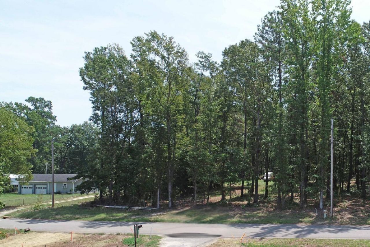 1073 Summerford Lane Photo 4