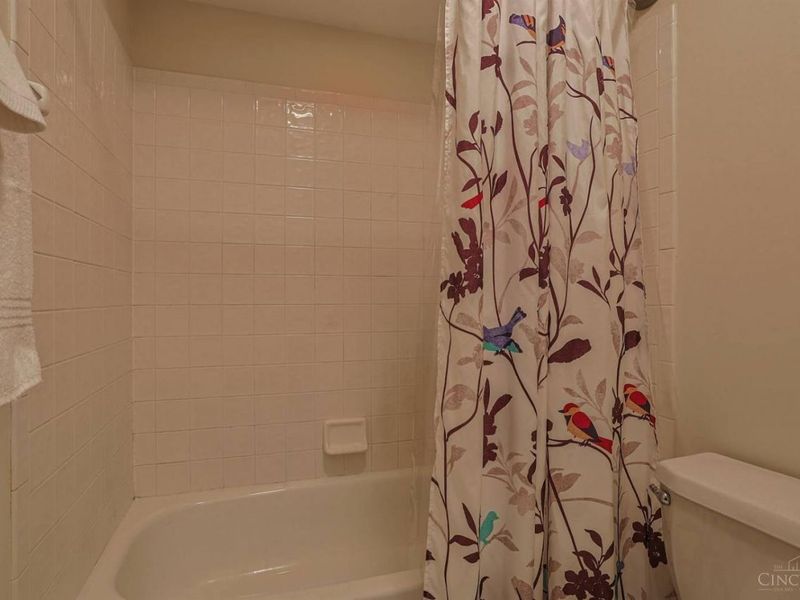 10919 Kristiridge Drive, Colerain Township, OH 45252 Photo 71
