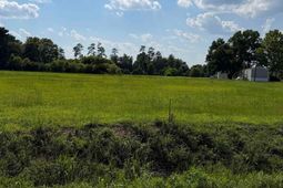 Tbd Strickland Rd.  photo 4