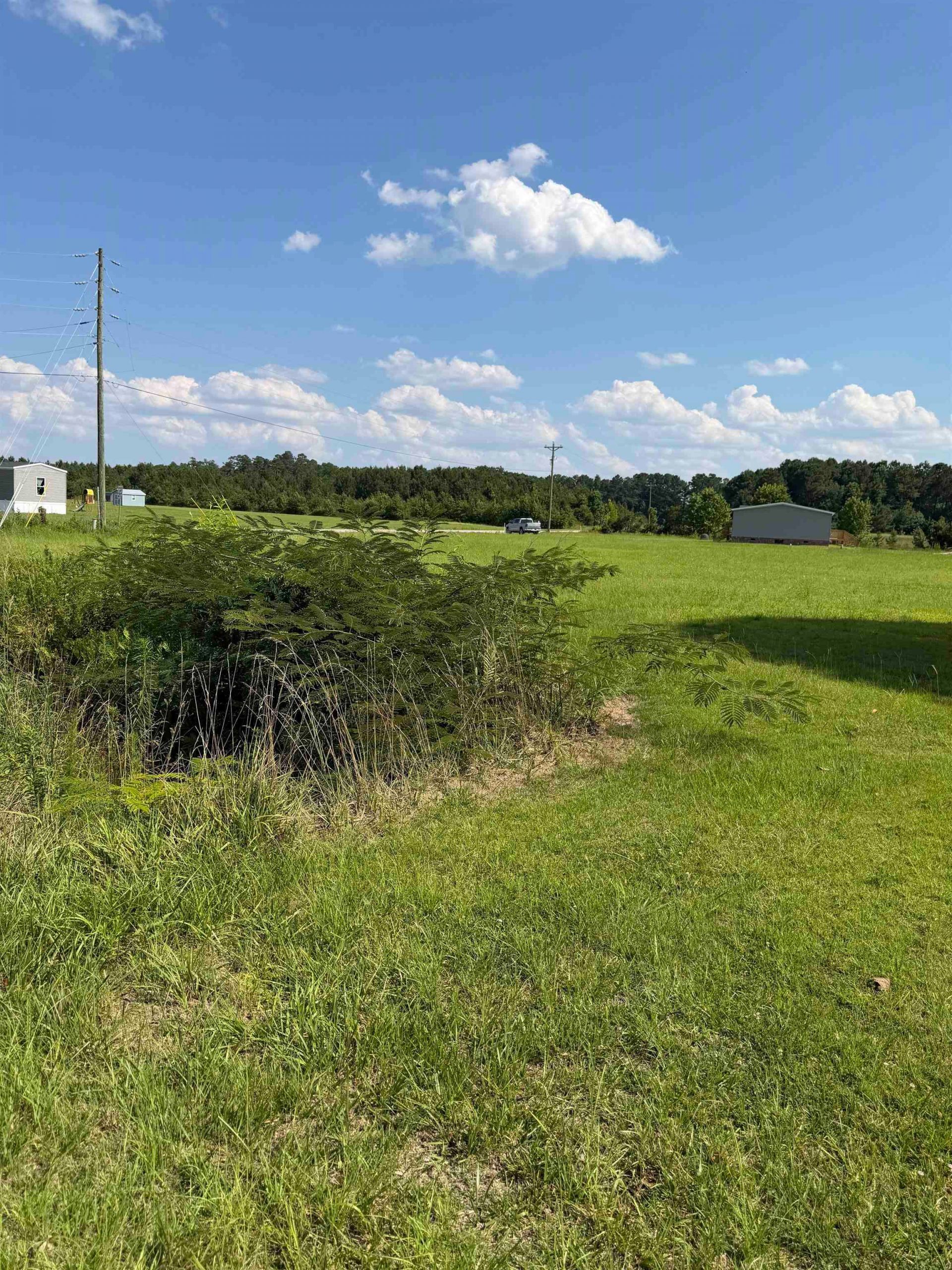 Tbd Strickland Rd.  Photo 5