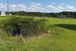 Tbd Strickland Rd.  photo 4