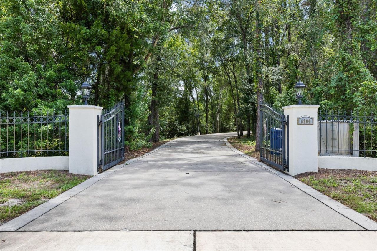 6800 Wisteria Loop, Land O Lakes, FL 34638 Photo