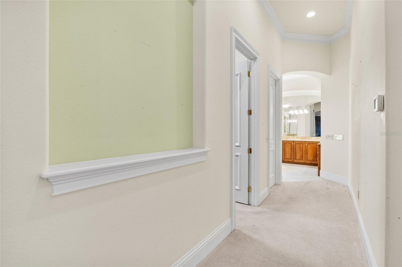 6800 Wisteria Loop, Land O Lakes, FL 34638 Photo