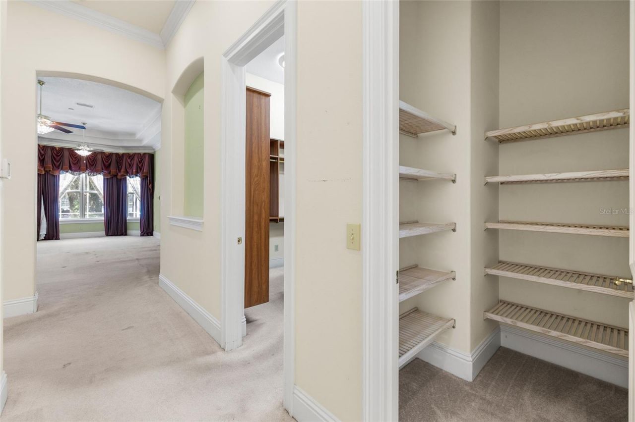6800 Wisteria Loop, Land O Lakes, FL 34638 Photo