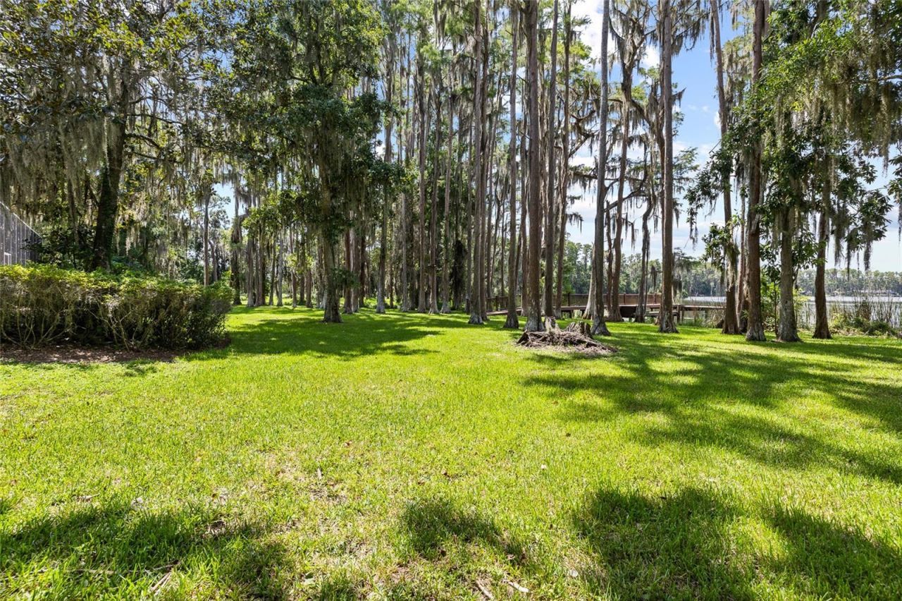 6800 Wisteria Loop, Land O Lakes, FL 34638 Photo