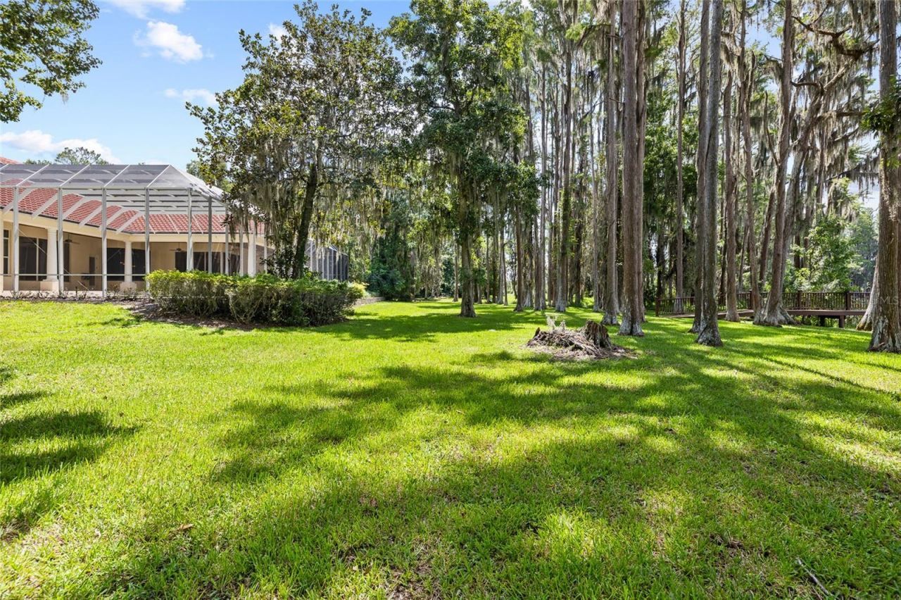 6800 Wisteria Loop, Land O Lakes, FL 34638 Photo