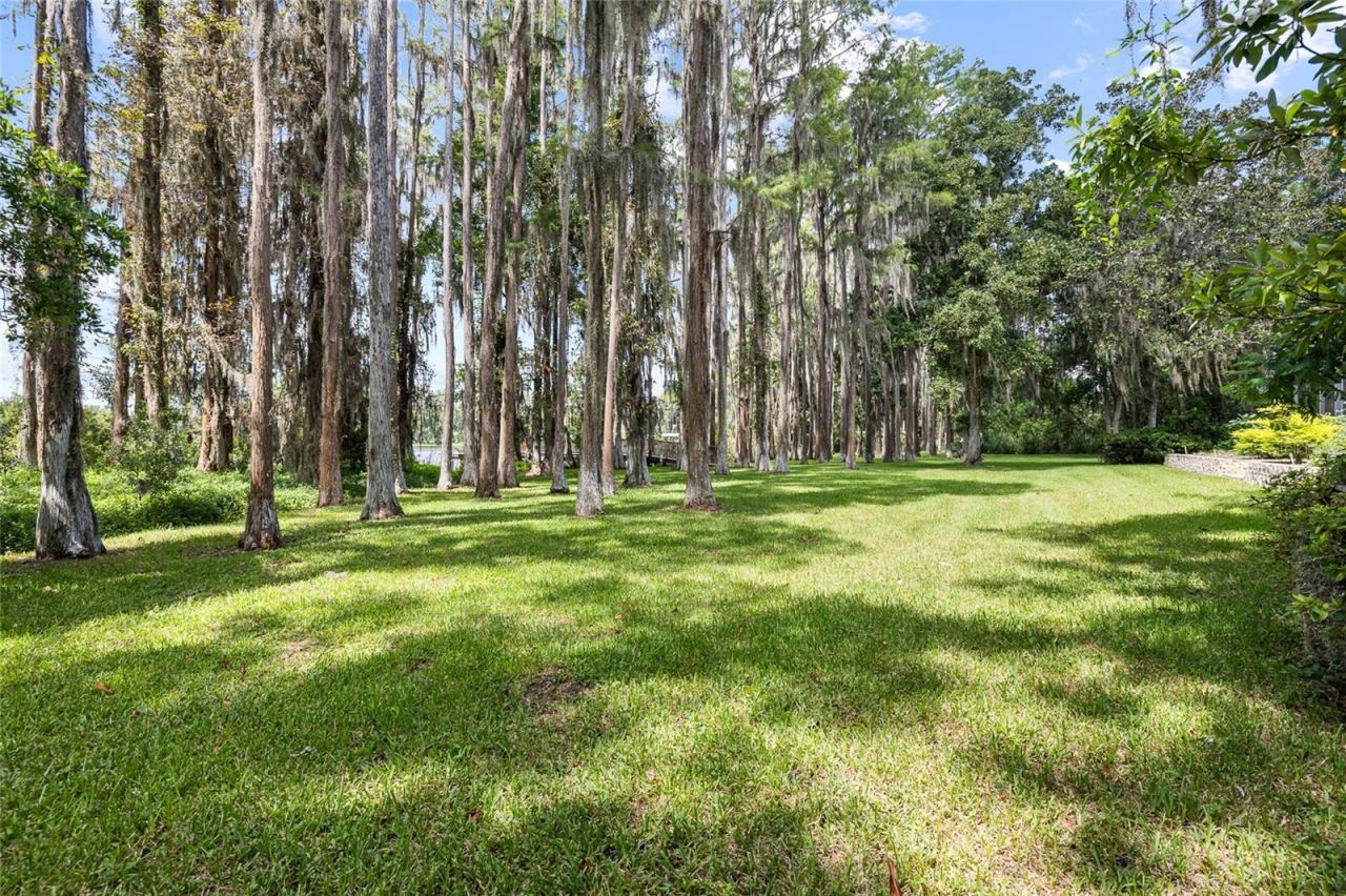 6800 Wisteria Loop, Land O Lakes, FL 34638 Photo