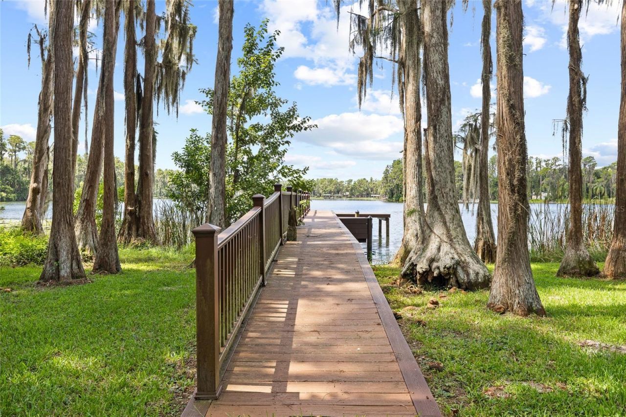 6800 Wisteria Loop, Land O Lakes, FL 34638 Photo