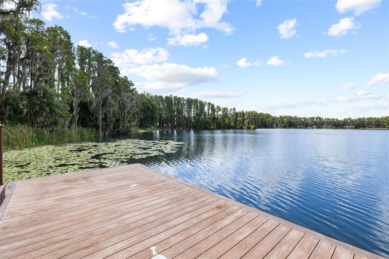 6800 Wisteria Loop, Land O Lakes, FL 34638 Photo