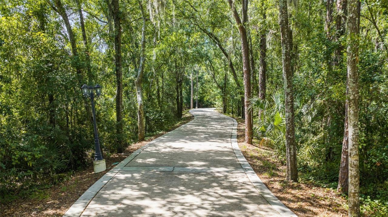 6800 Wisteria Loop, Land O Lakes, FL 34638 Photo