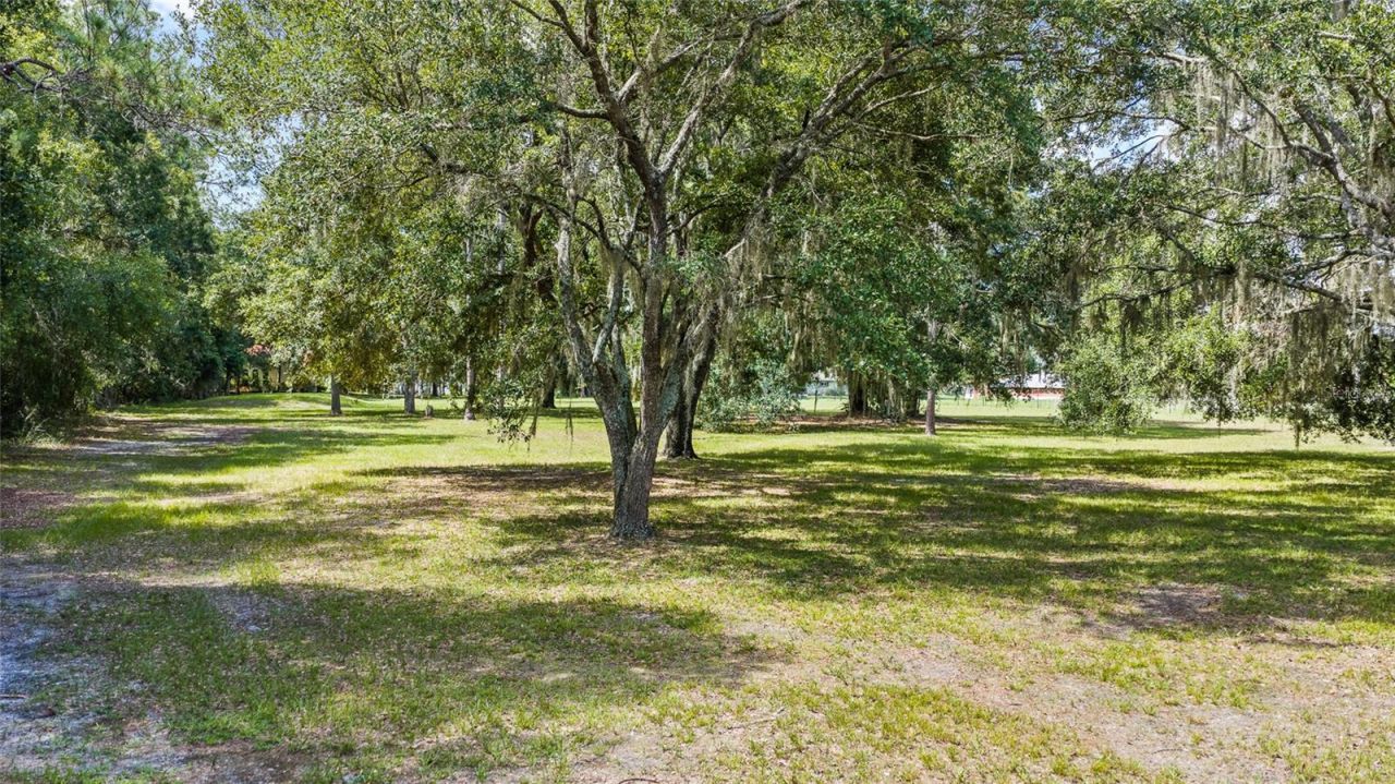 6800 Wisteria Loop, Land O Lakes, FL 34638 Photo