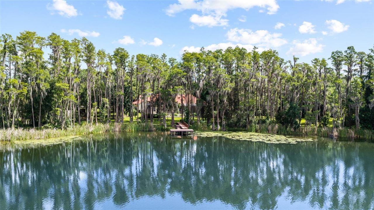 6800 Wisteria Loop, Land O Lakes, FL 34638 Photo