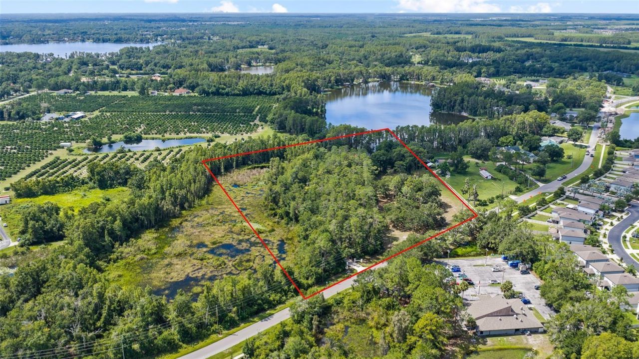 6800 Wisteria Loop, Land O Lakes, FL 34638 Photo
