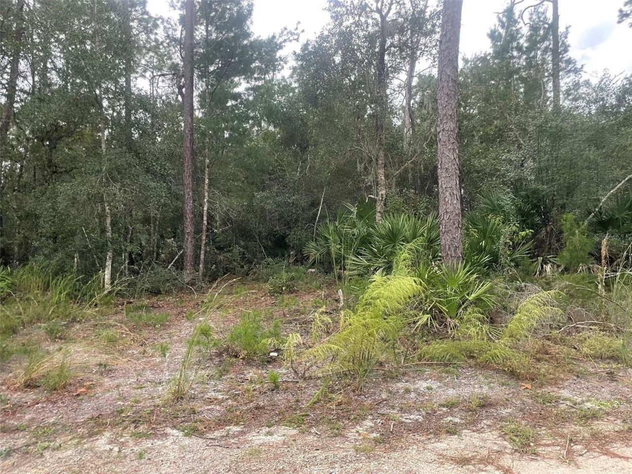 1783 Taylor Road , Port Orange, FL 32128 Photo