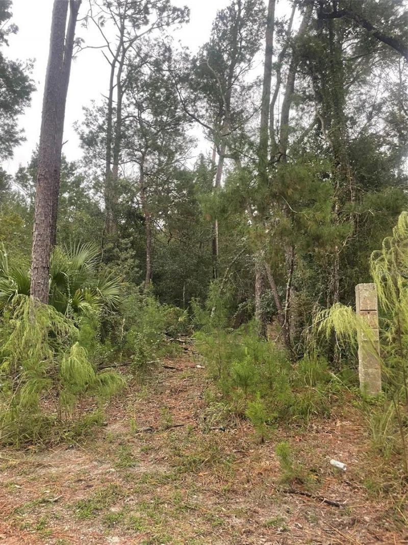 1783 Taylor Road , Port Orange, FL 32128 Photo