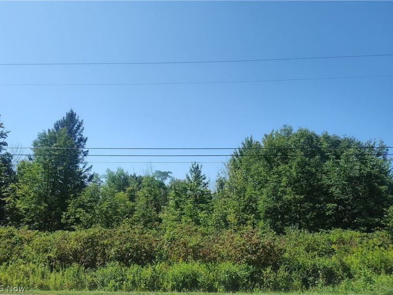 VL State Road, Kingsville, OH 44048 Photo 5