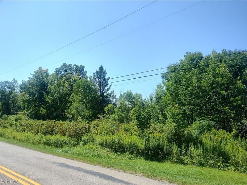 VL State Road, Kingsville, OH 44048 Photo 7
