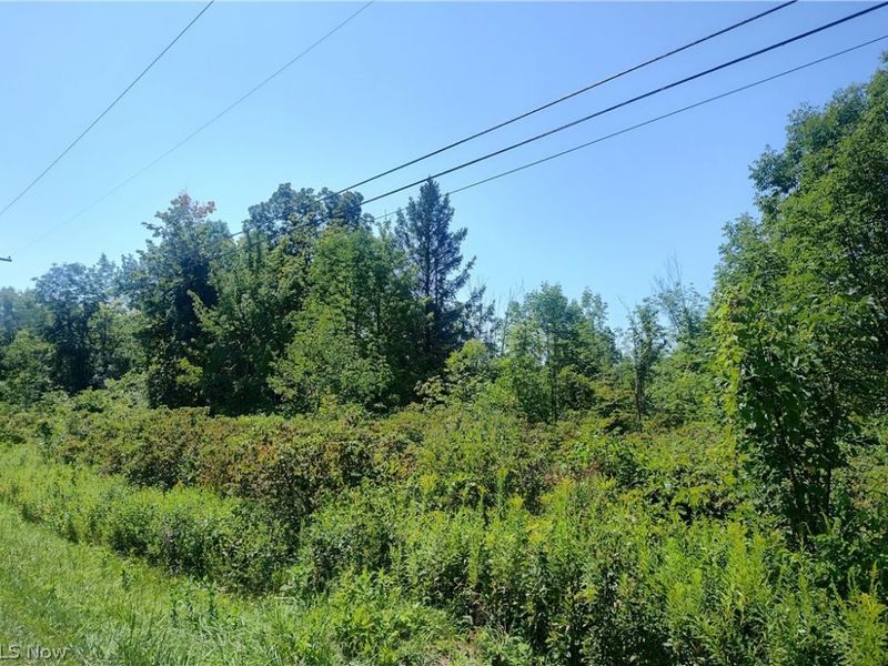 VL State Road, Kingsville, OH 44048 Photo 8