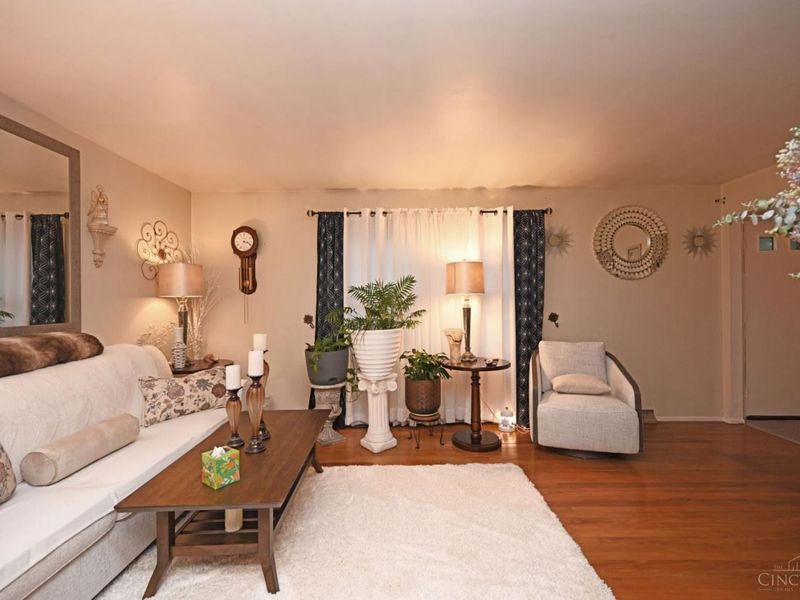 12012 Cantrell Drive, Springdale, OH 45246 Photo 8