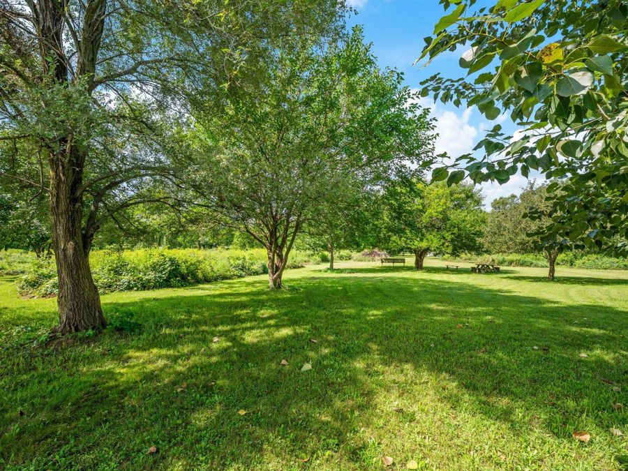 Property Image 65