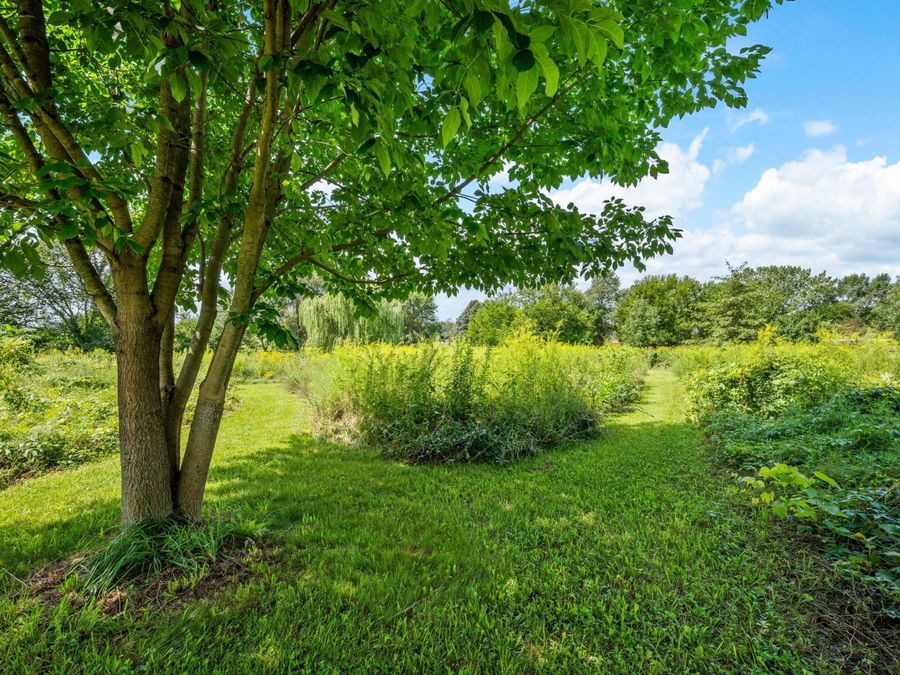 Property Image 66
