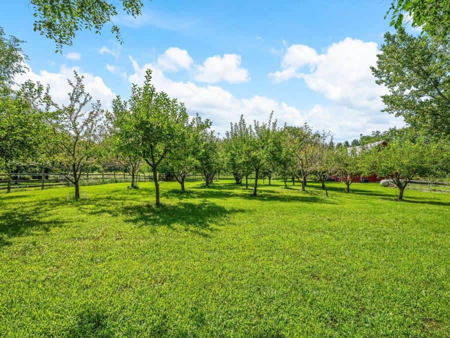 Property Image 68